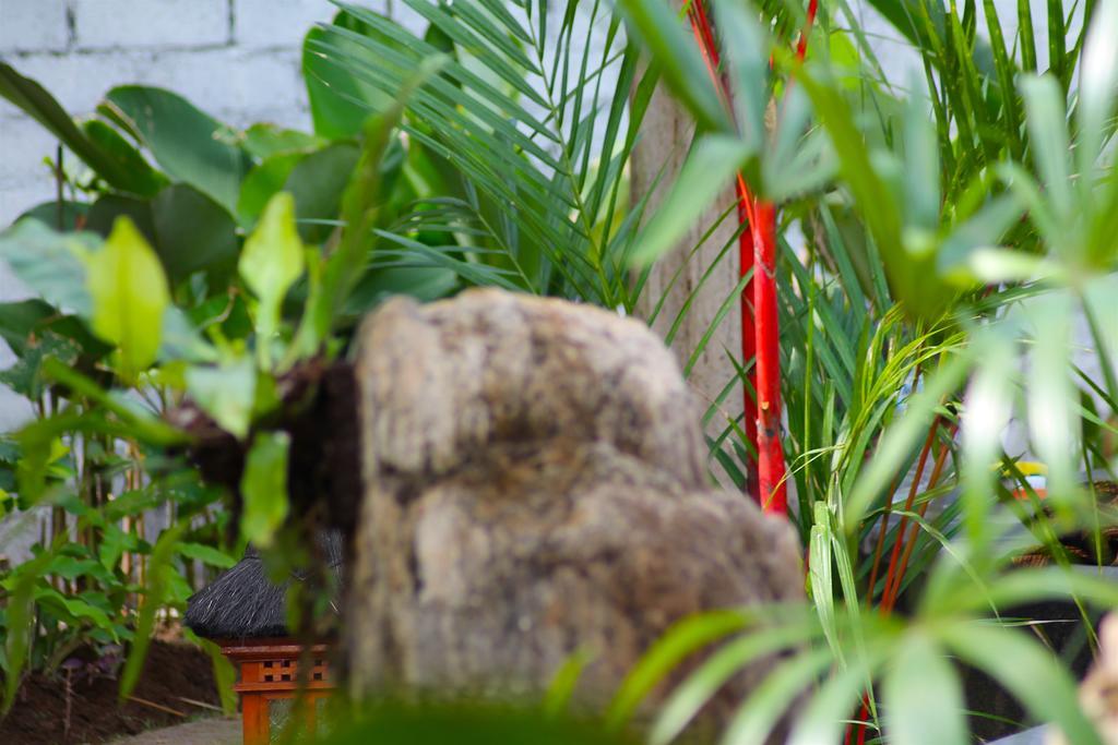 Beachouse Lovina Bagian luar foto